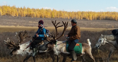 Wild Life tours  - Tuul Travel Mongolia