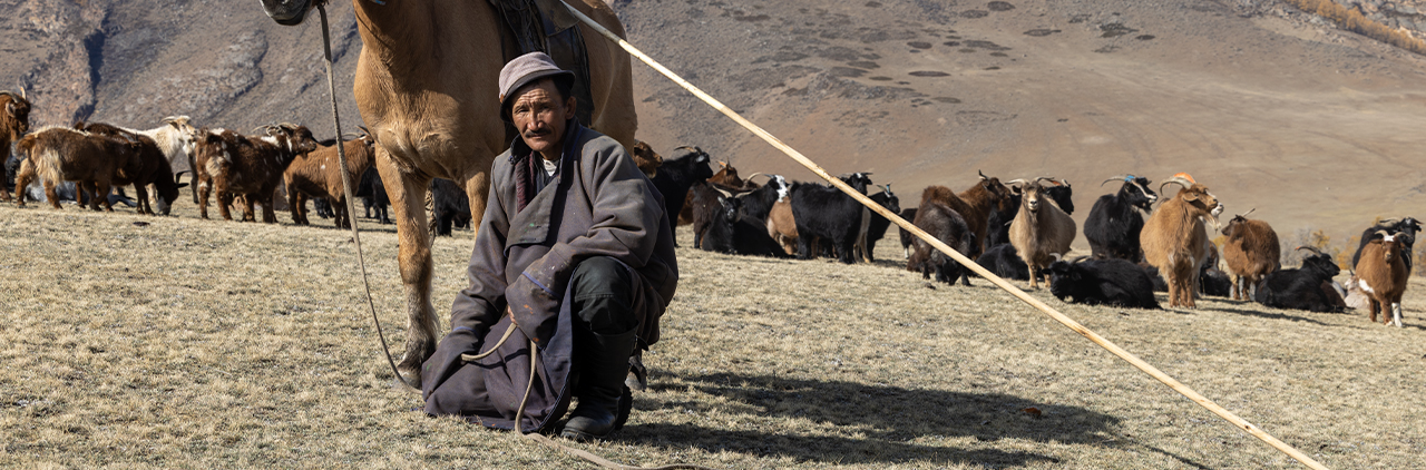 Herder man
