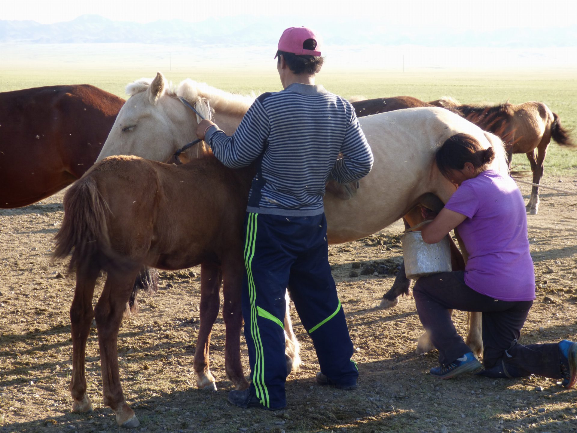 Central Mongolia — Mongolia