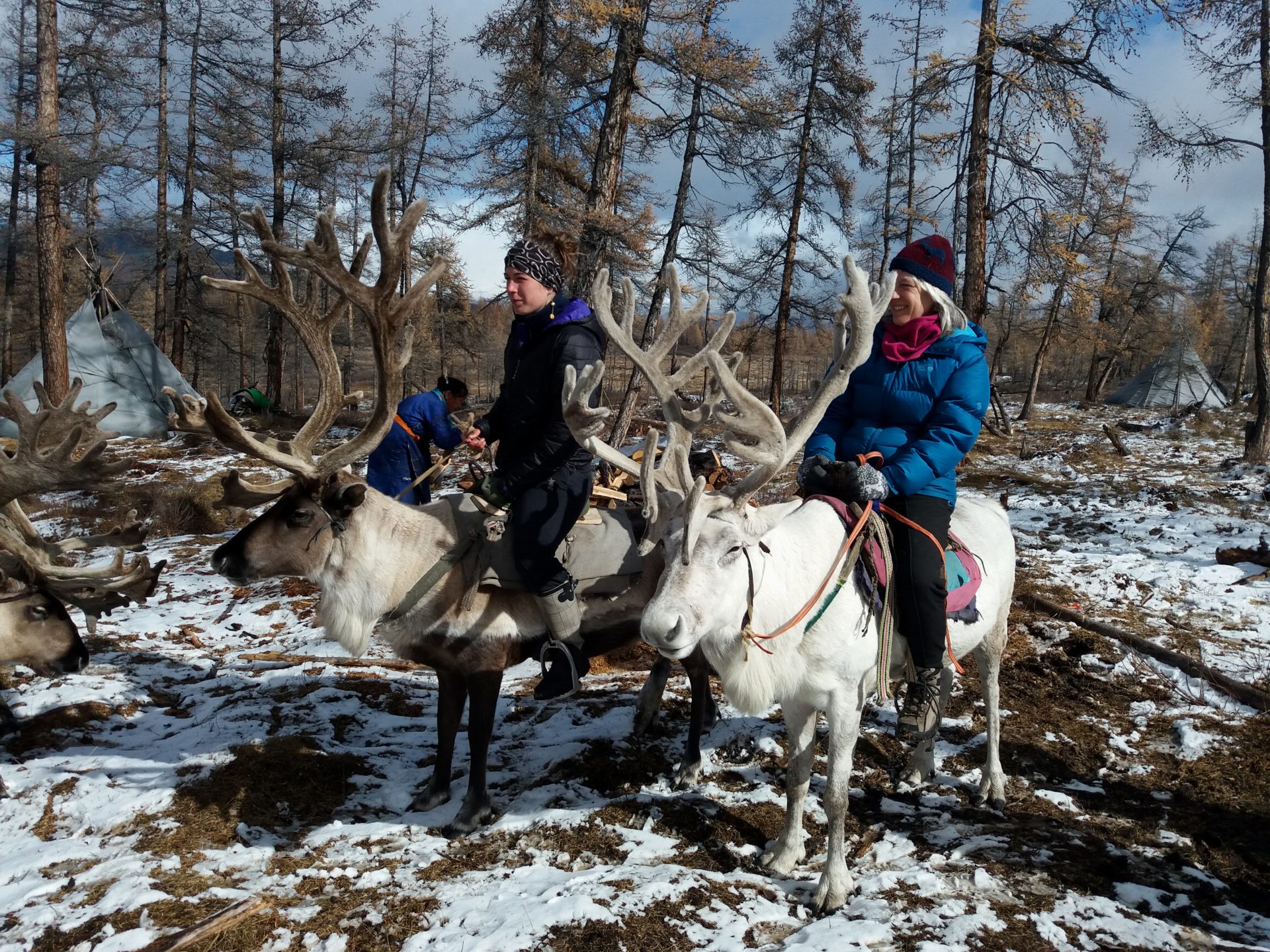 Northern Mongolia — Mongolia